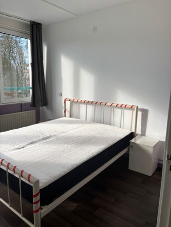 WhatsApp Image 2026-02-04 at 11.47.39 (1).jpeg